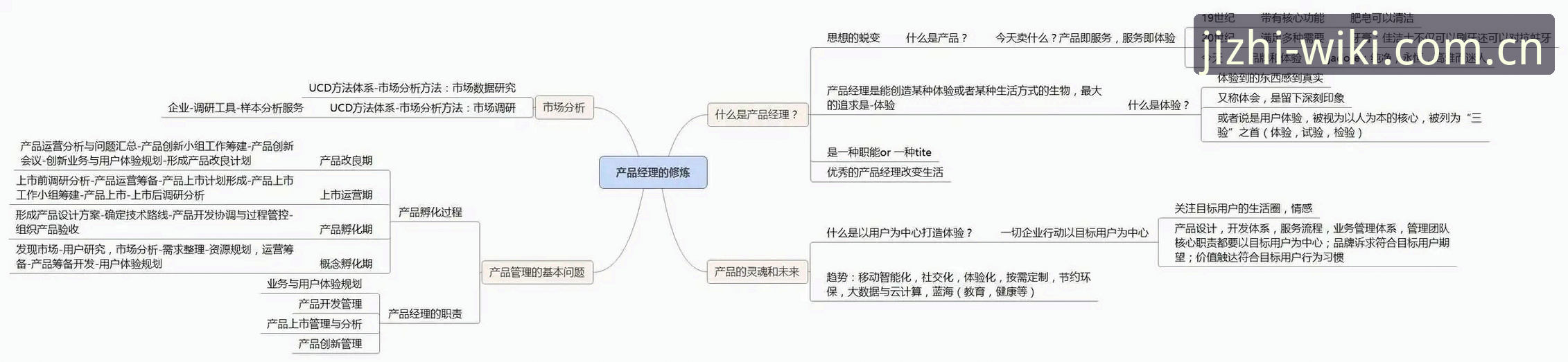 维基体育电脑版详解：极致竞技体验与实战操作指南